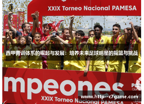 西甲青训体系的崛起与发展：培养未来足球明星的摇篮与挑战